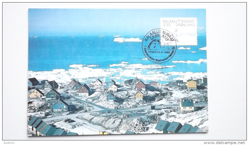 Grönland 147 Yt 134 Maximumkarte MK/CM, SST ESSEN 1988,Eisbär Tötet Fänger; Zeichnung V. Kârale Andreassen - Cartas Máxima