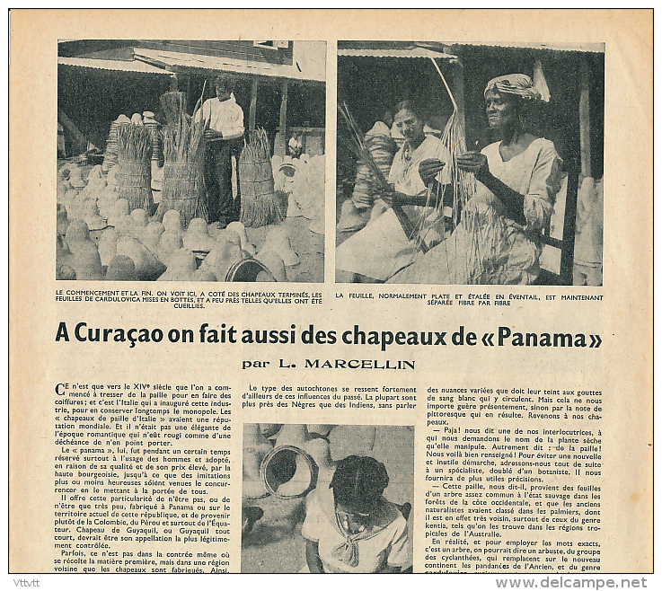 1951 : Document, CURACAO, ANTILLES (2 Pages Illustrées) Chapeaux De "Panama", Feuilles De Cardulovica, Ouvrières... - Non Classés