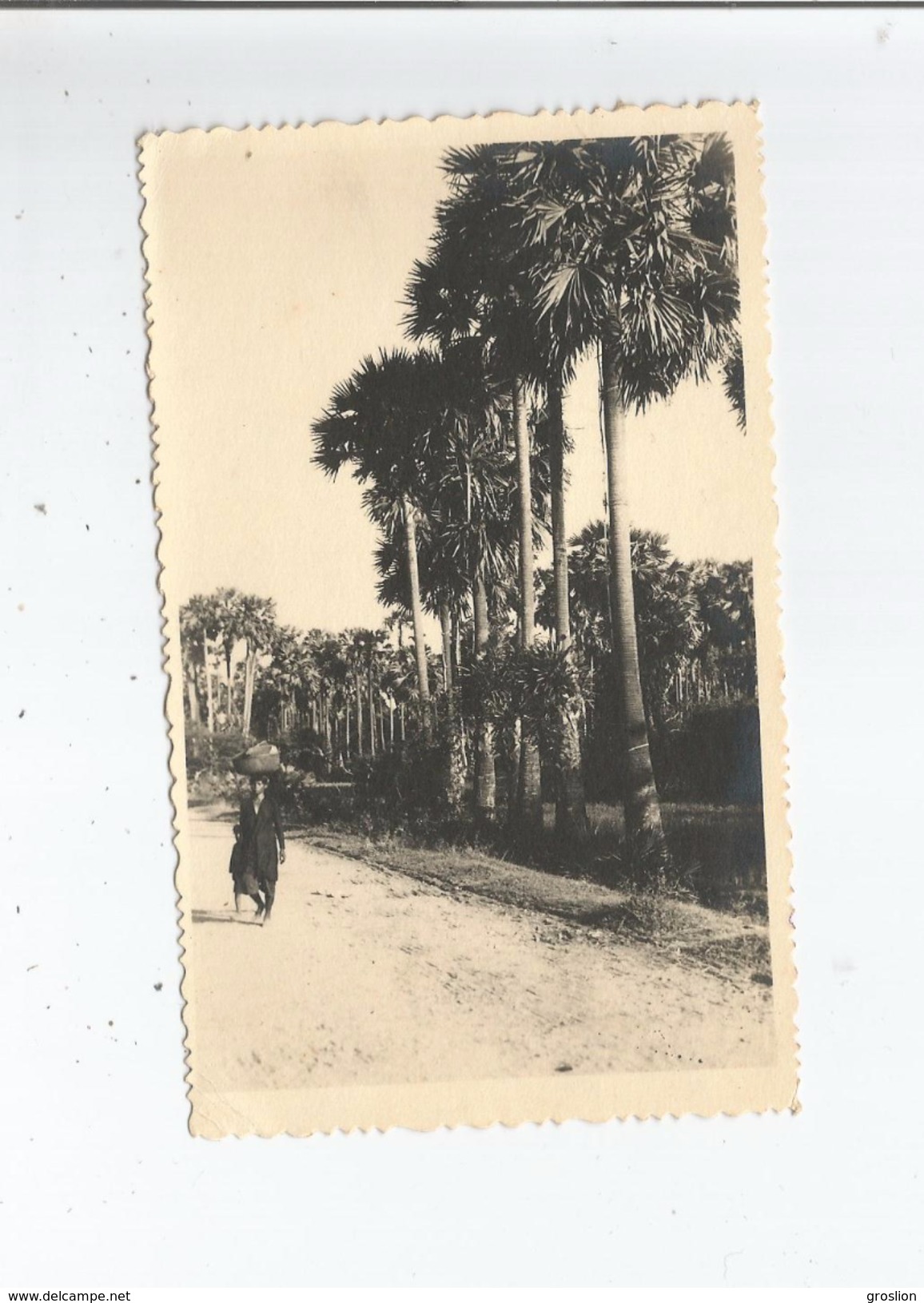 CAMBODGE FEMME AVEC PANIER SUR LA TETE  ET ENFANT DEVANT ALLEE DE PALMIERS - Cambodia