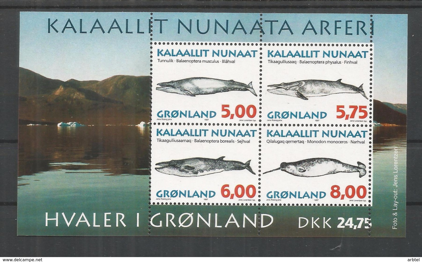 GROENLANDIA GRONLAND FAUNA MARINA MAMIFERO BALLENA WHALE NARVAL - Arctic Wildlife