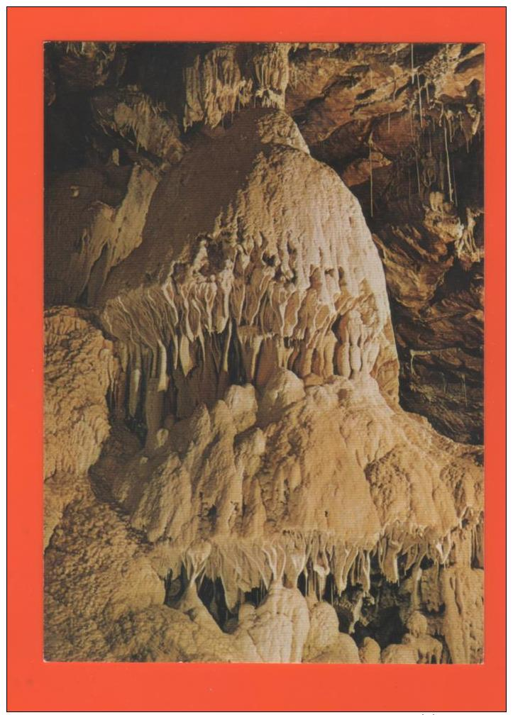 ET/94   SUISSE  GROTTE DE VALLORBE LA MEDUSE - Orbe