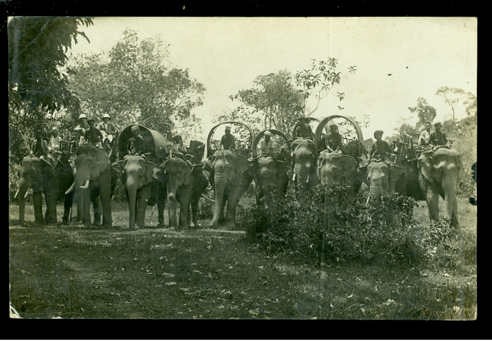 Indonesia  Indonesië   Olifanten  Olifant  éléphant  - Carte Photo  Fotokaart - Indonesia