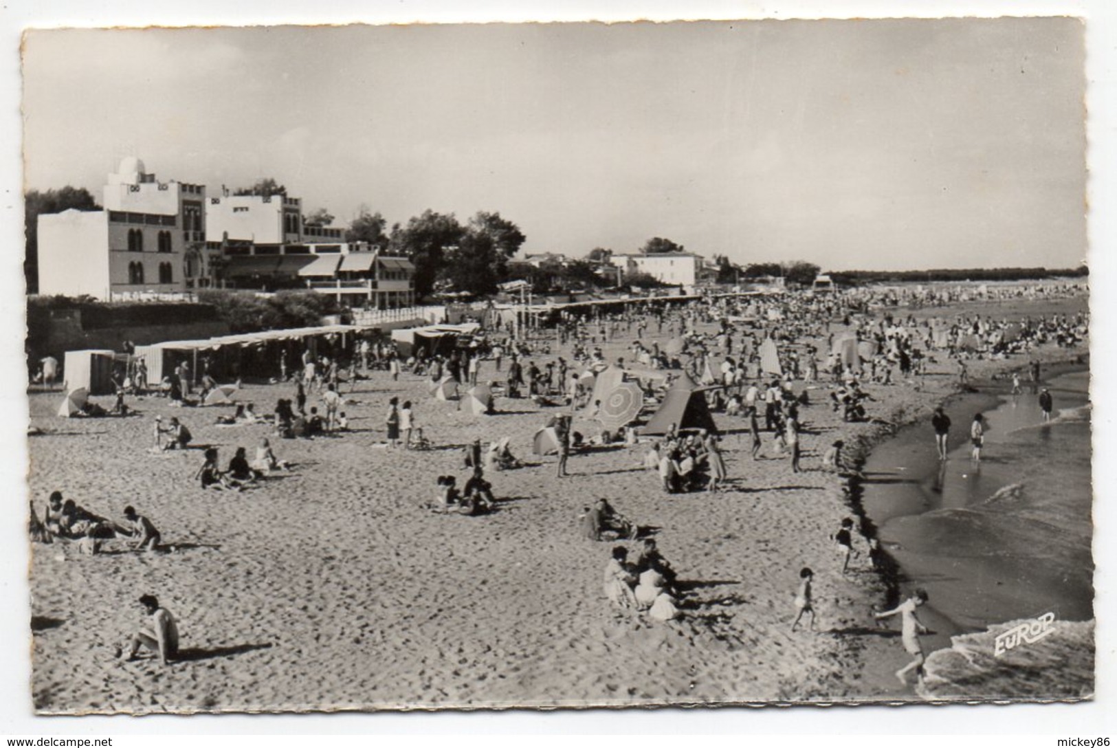 LA TRANCHE SUR MER--La Plage (très Animée )  ,cpsm 14 X 9 N°2458 éd  De L'Europe ..pas Très Courante - La Tranche Sur Mer