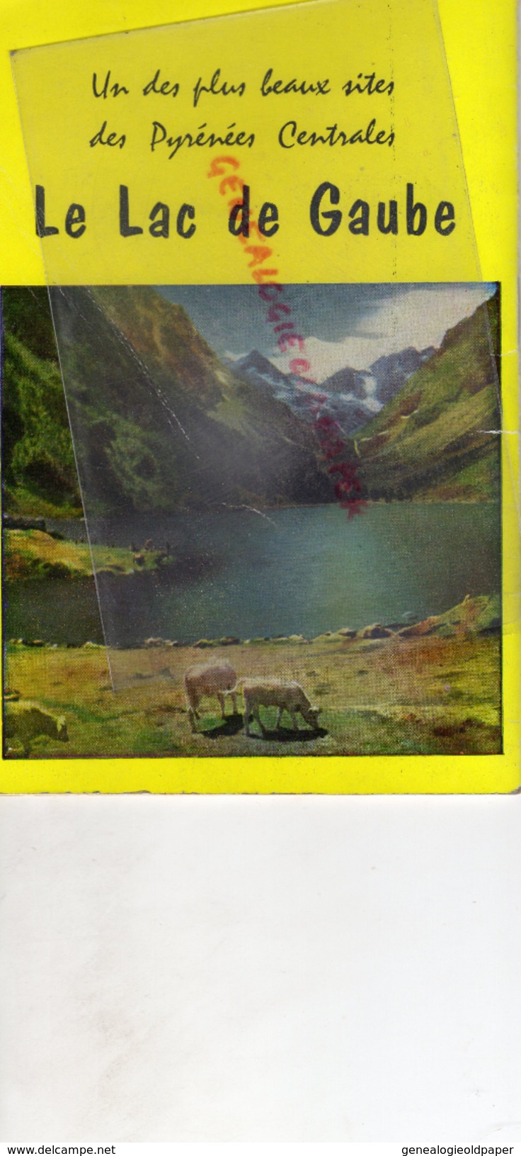 65 - CAUTERETS- LAC DE GAUBE- GUIDE PRATIQUE-CHASSE A L' ISARD- PECHE-LOURDES-BETHARRAM-PEGUERE-VISCOS-CAYAN-