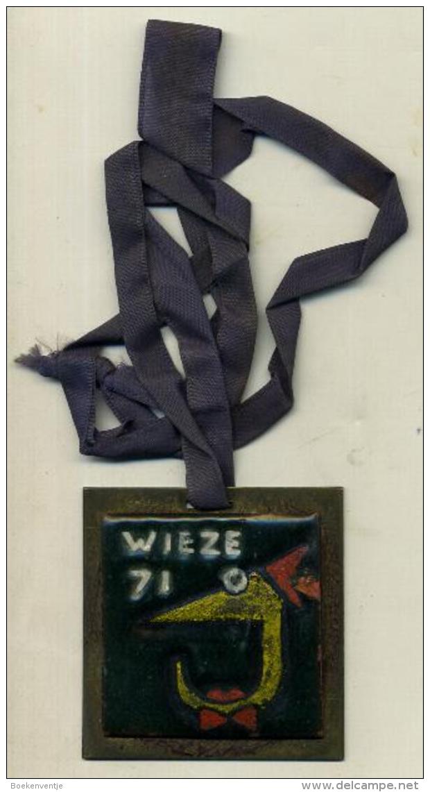 Wieze - Wieze 71 - Carnaval