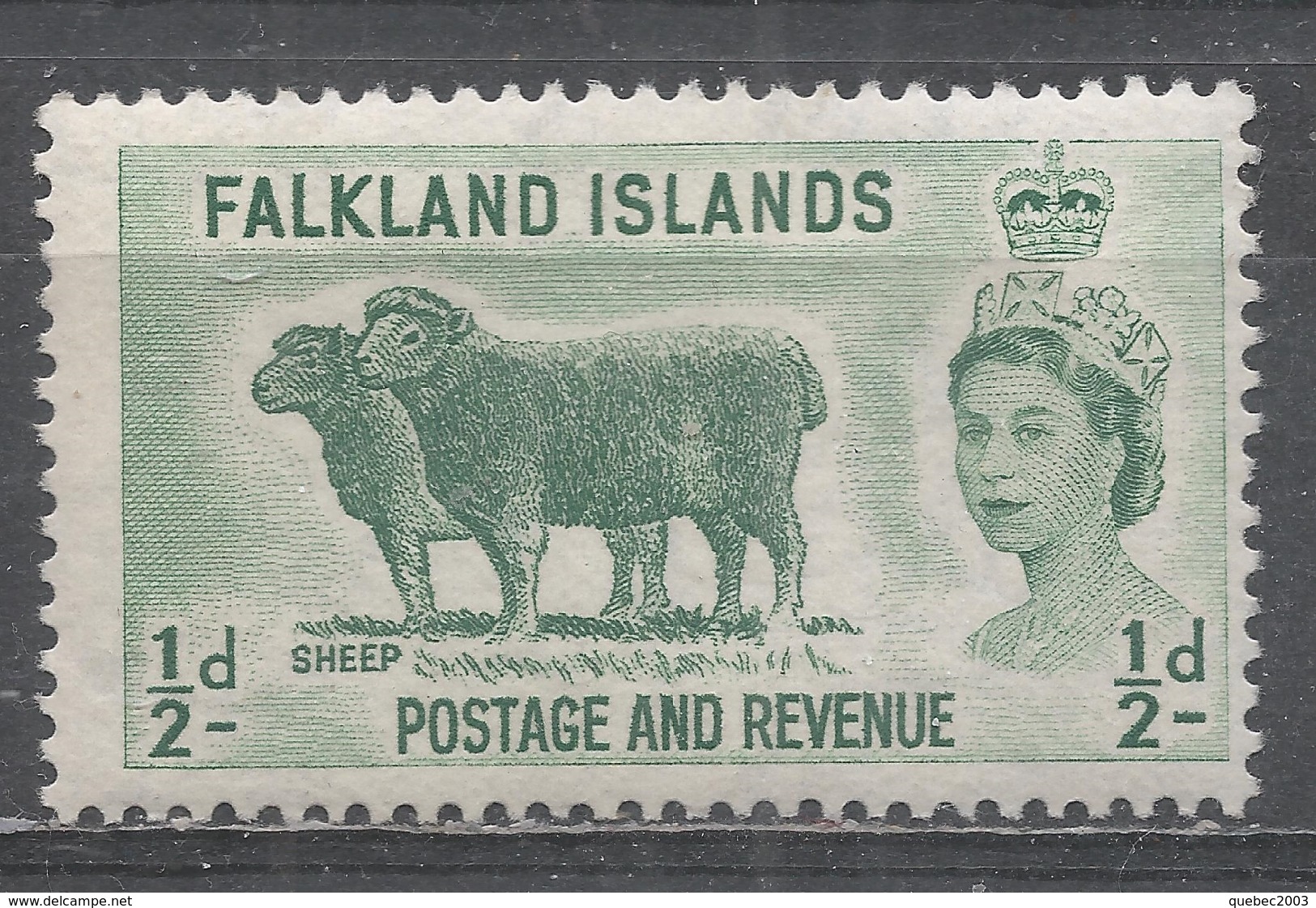 Falkland Islands 1957. Scott #122 (M) Fauna, Sheeps - Falklandinseln