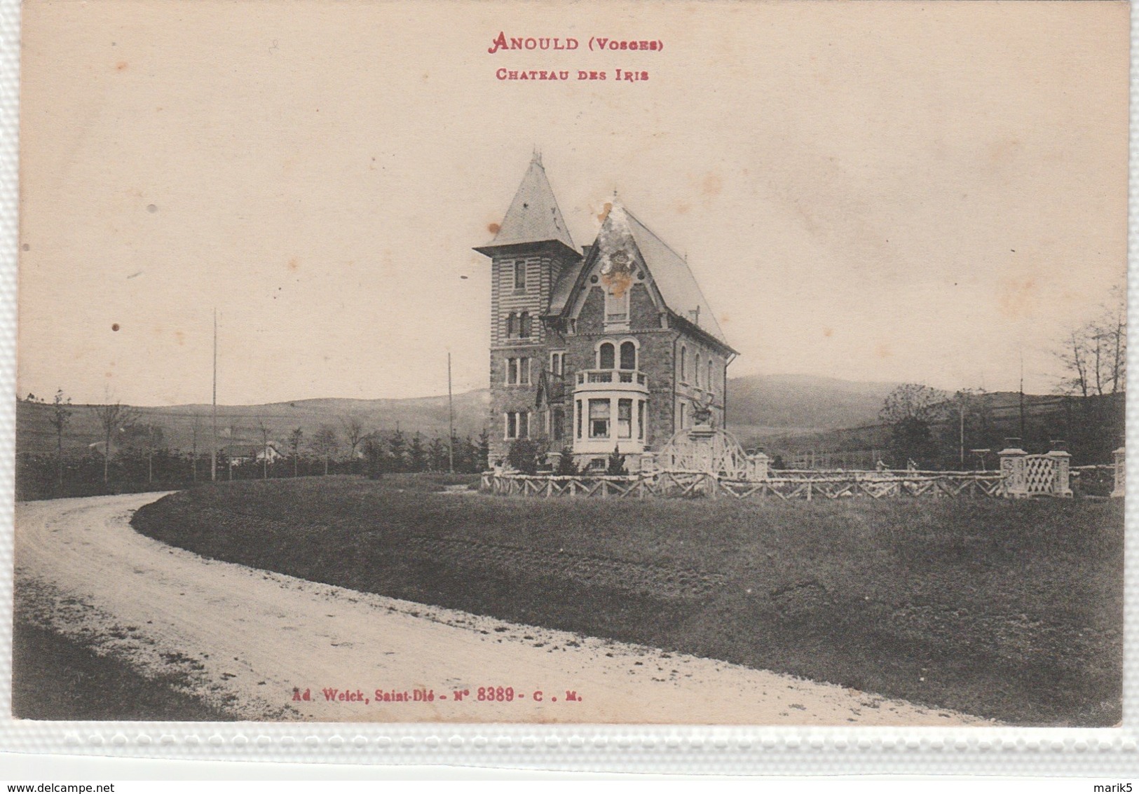 ANOULD Château Des Iris - - Anould