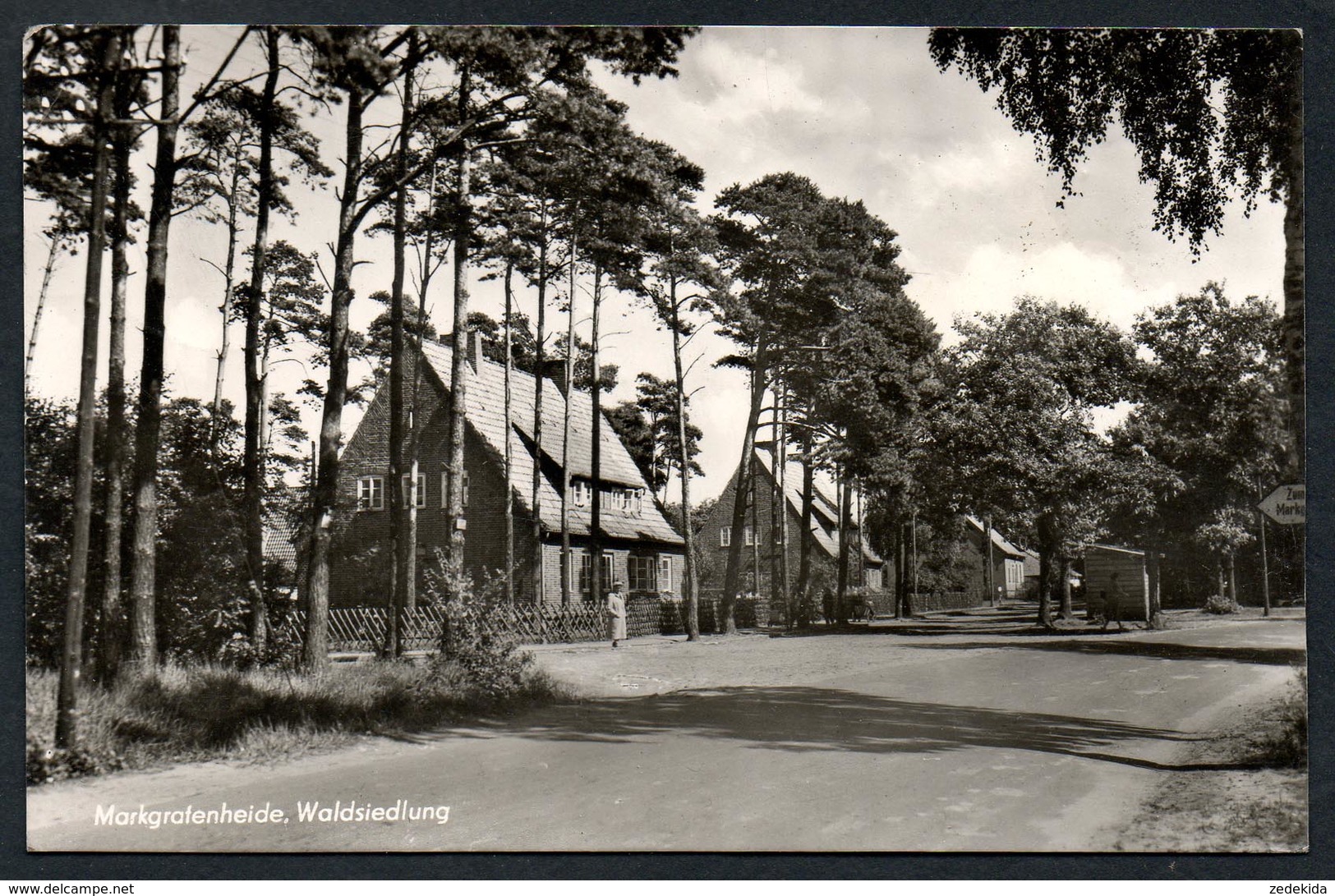 9128 - Alte Foto Ansichtskarte - Markgrafenheide Waldsiedlung - Gel 1959 - Ribnitz-Damgarten