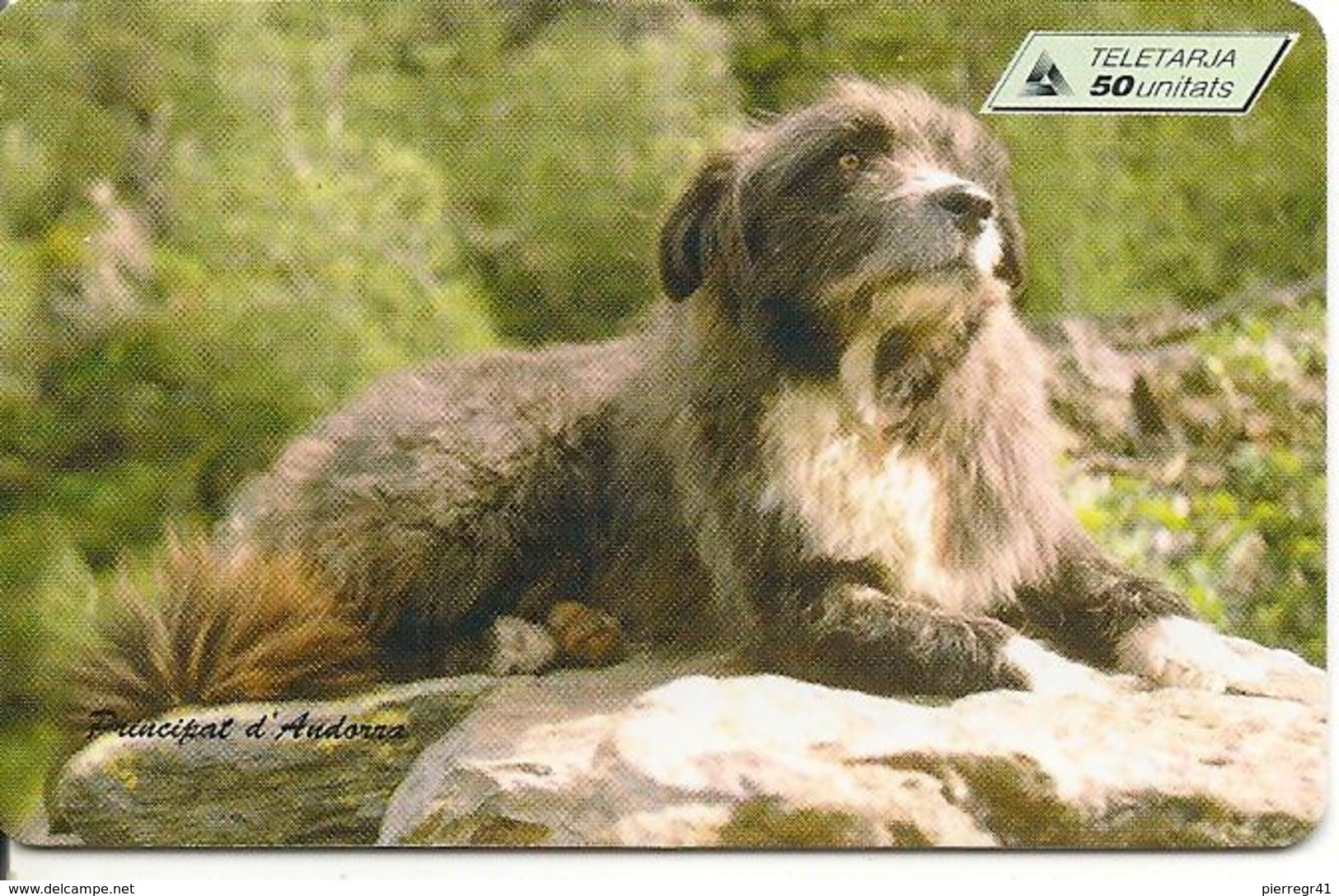 CARTE^-PUCE-ANDORRE-50U-AND 76-SC7-07/97-CHIEN CONCOURS-UTILISE-TBE - Andorre