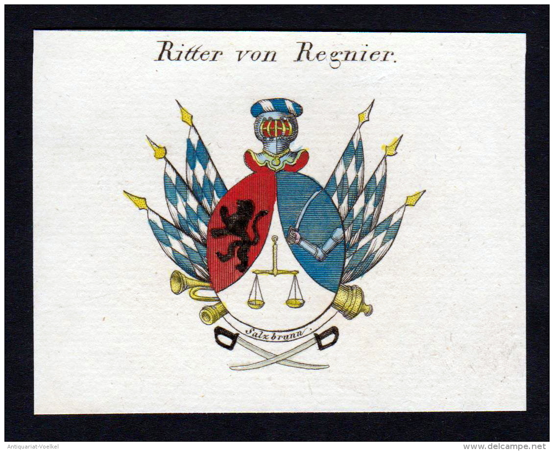 Ritter Von Regnier - Regnier Wappen Adel Coat Of Arms Heraldry Heraldik Kupferstich - Stiche & Gravuren