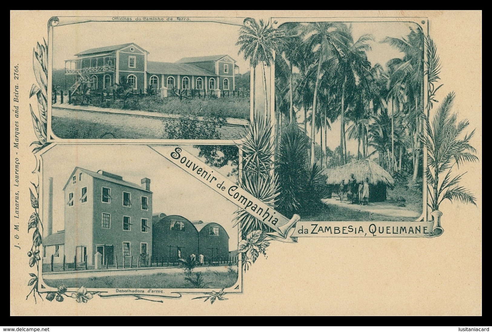 QUELIMANE - Souvenir Da Companhia Da Zambézia, Quelimane ( Ed. J.&M.Lazarus) Carte Postale - Mozambico