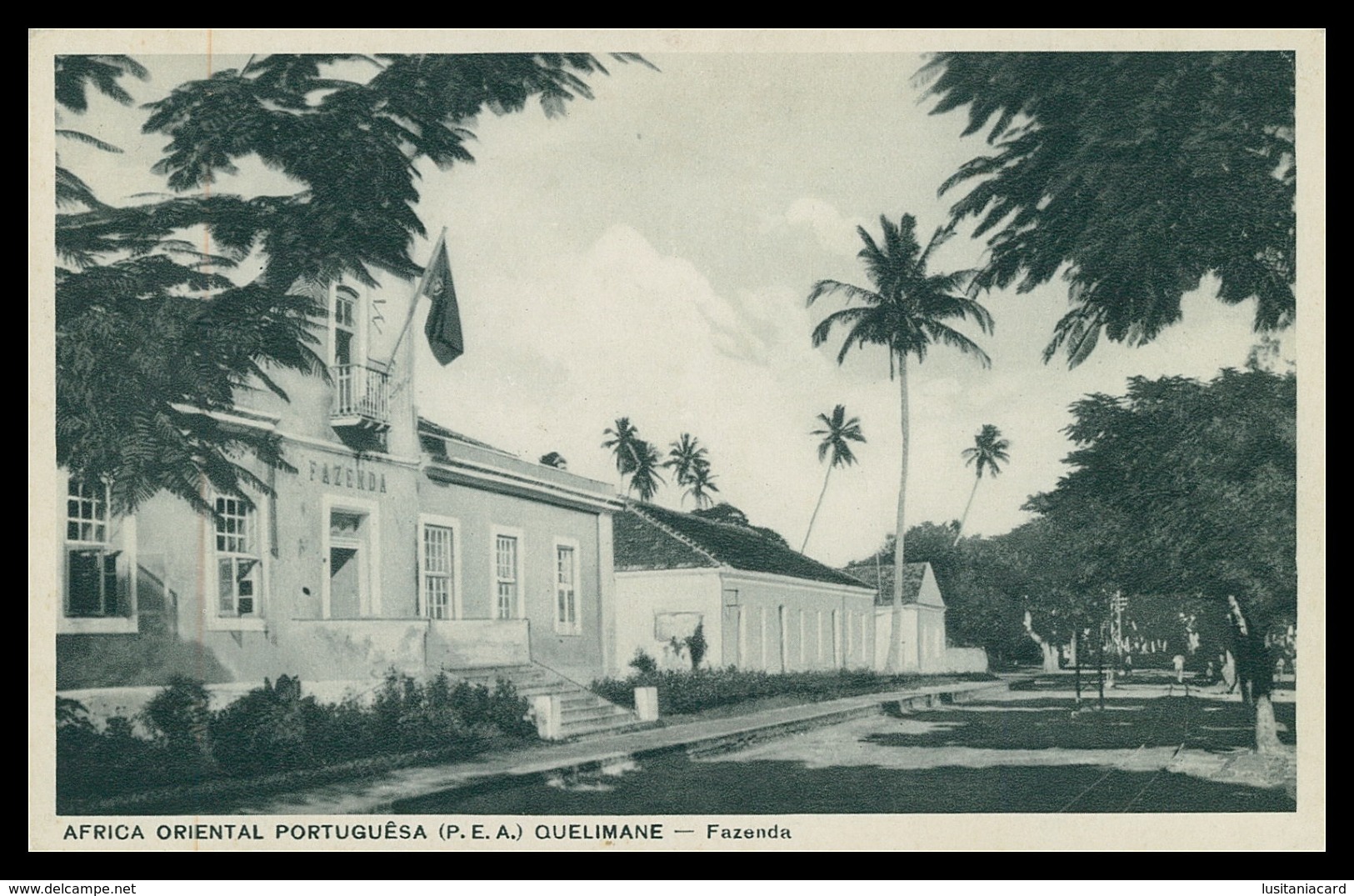 QUELIMANE - Fazenda  ( Ed. Santos Rufino Nº I/2) Carte Postale - Mozambico