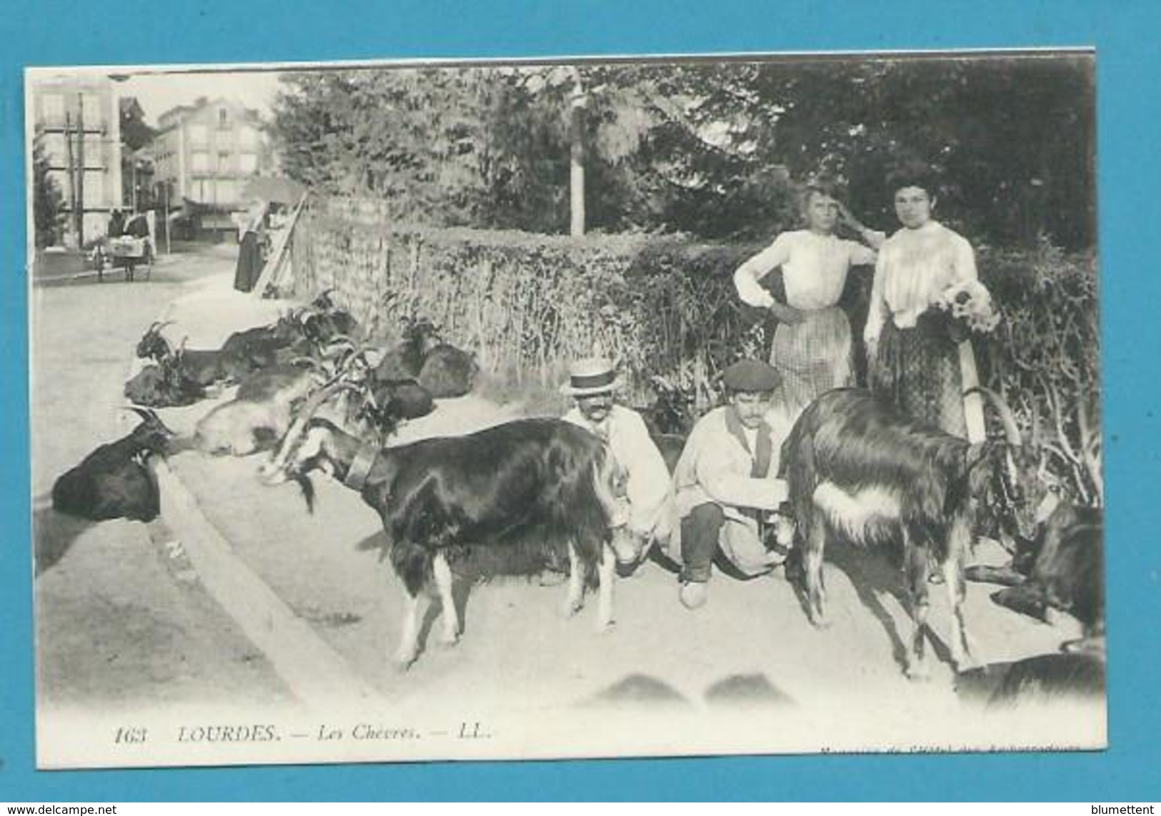 CPA 163 - Chevriers Et Leurs Chèvres LOURDES éditeur L.L. - Lourdes