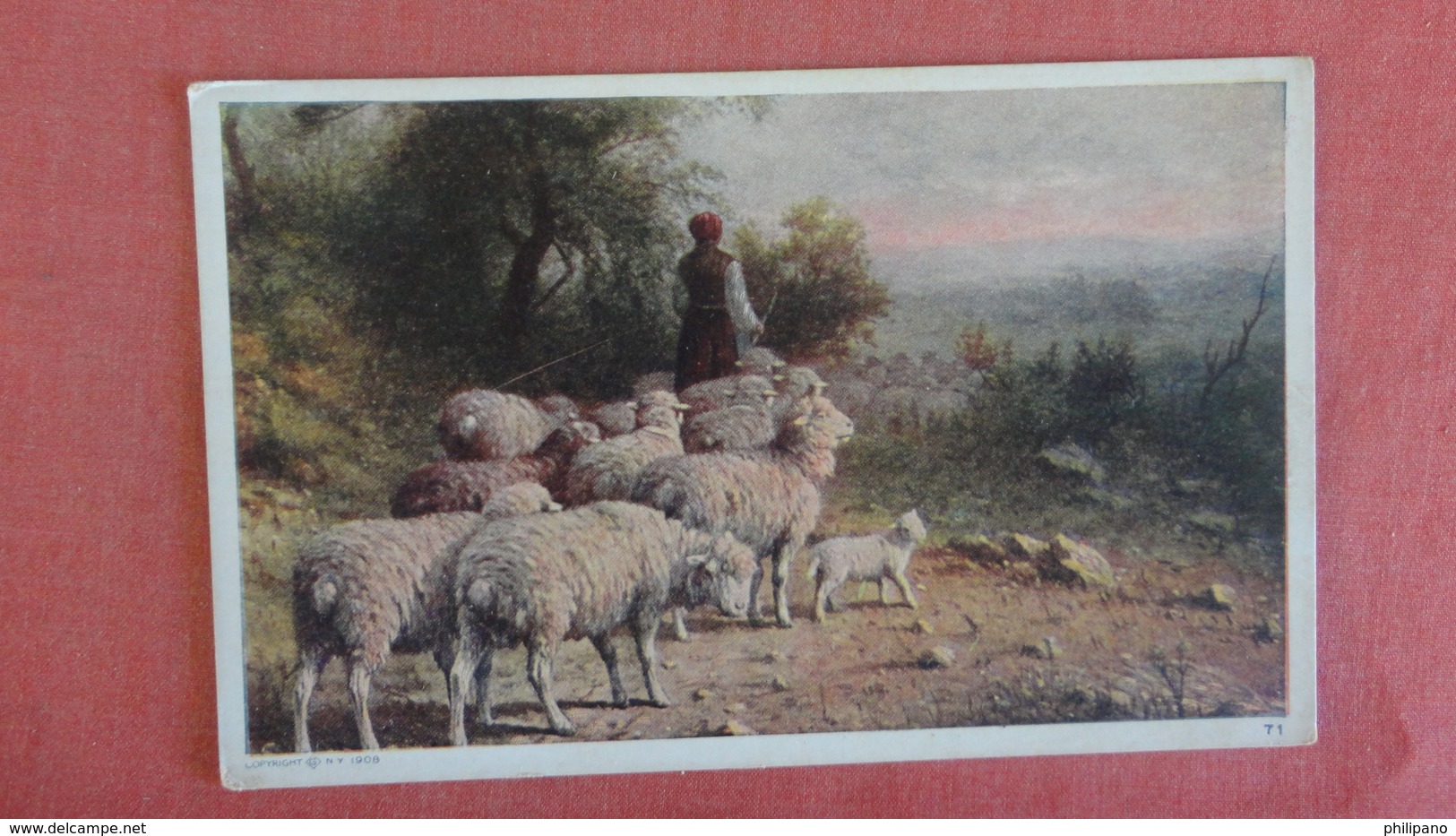 Flock Of Sheep =======  === Ref 2442 - Otros & Sin Clasificación