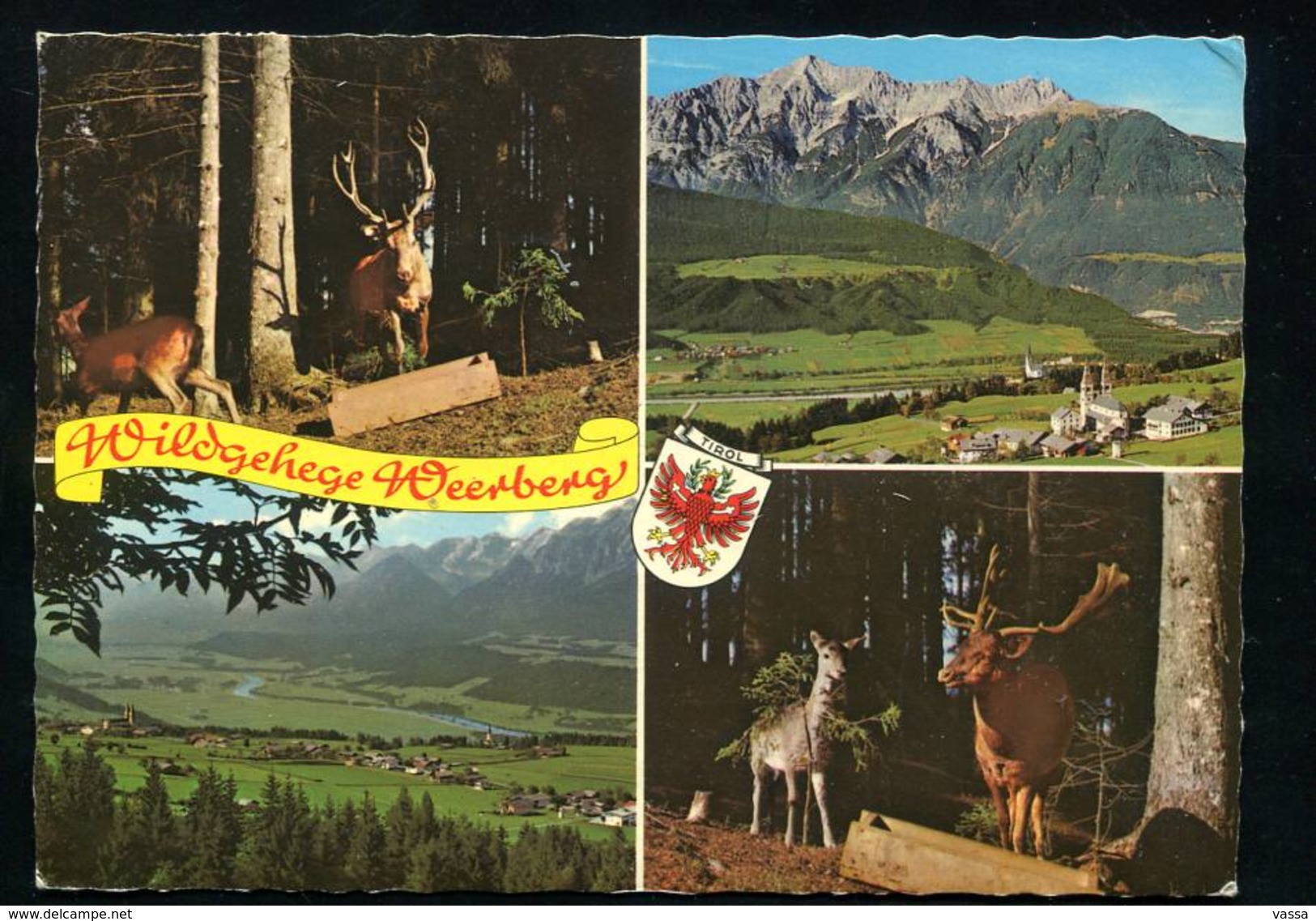 1968 -Wildgehege Weerberg - Multiviews - Gegen Karwendel , Inntal , Damhirsch , Cerfs - Stamp & Slogan - AUSTRIA - Wattens