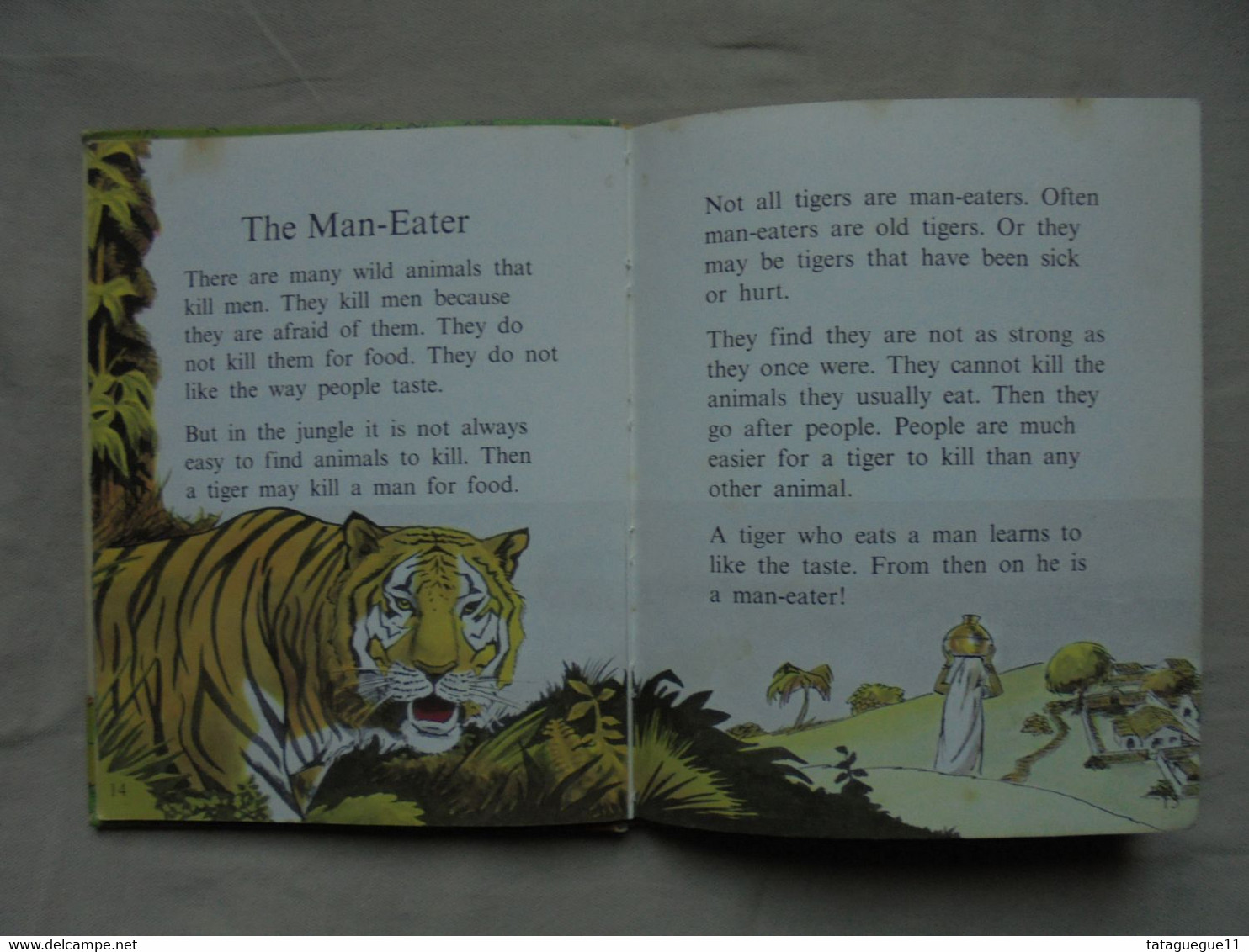 Ancien - Petit Livre Illustré Pour Enfant - Animal's Do The Strangest Things - Geïllustreerde Boeken