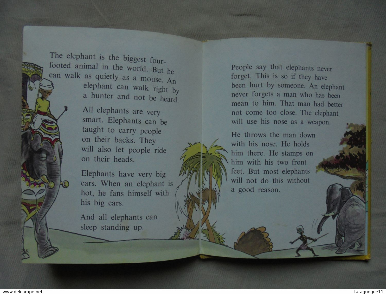 Ancien - Petit livre illustré pour enfant - Animal's do the Strangest Things
