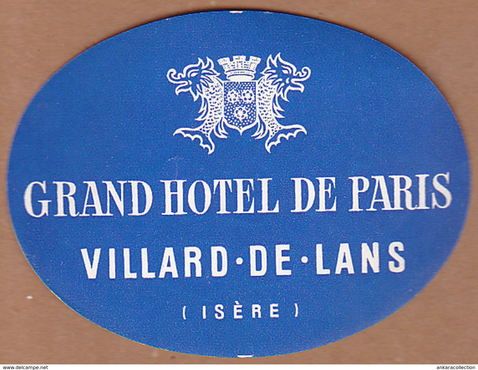 AC - GRAND HOTEL DE PARIS VILLARD DE LANS ISERE VINTAGE LUGGAGE LABEL - Hotel Labels