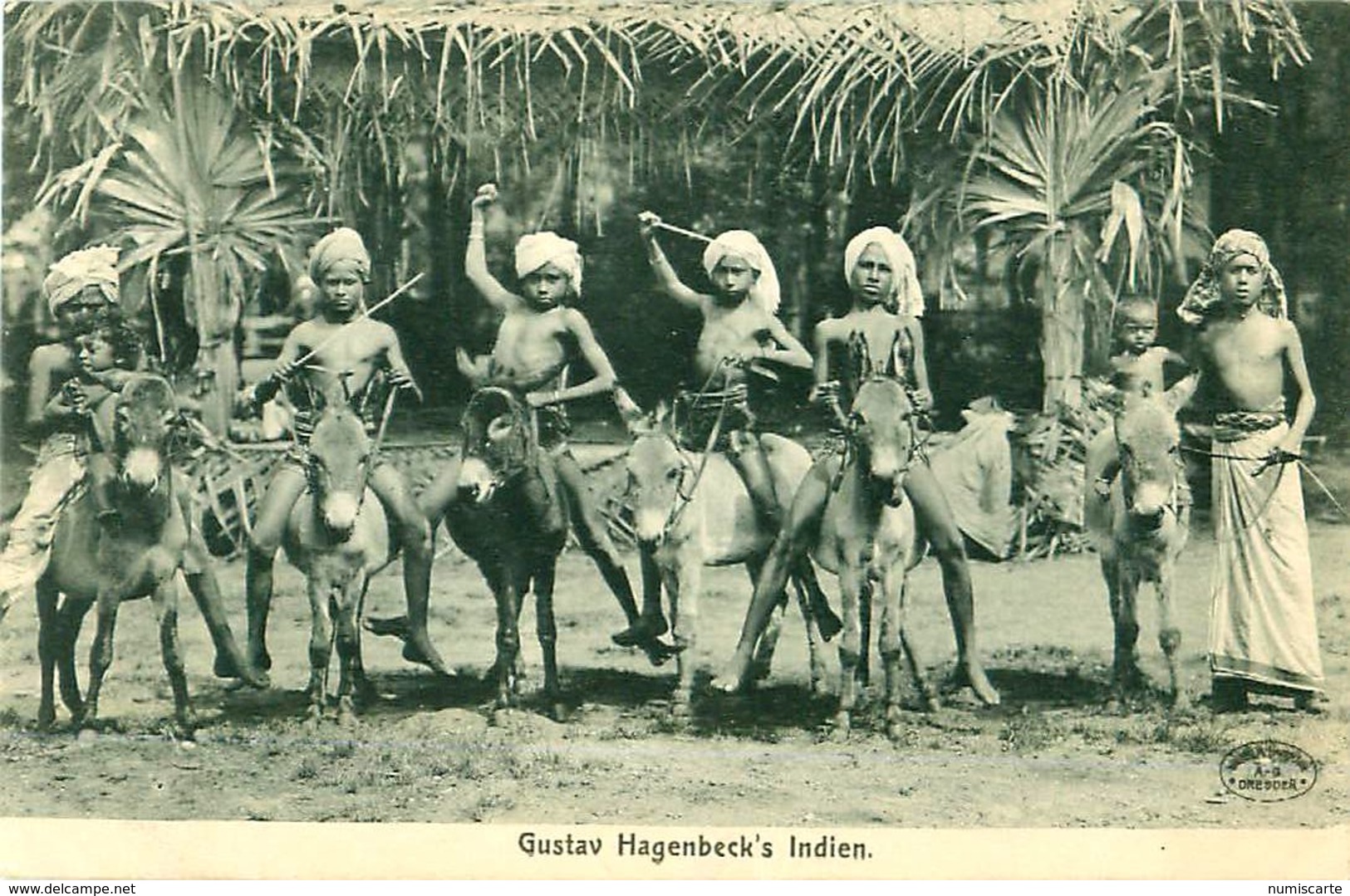 Cpa Tierpark Hagenbeck - Gustav Hagenbeck's Indien - Enfants, ânes - Stellingen