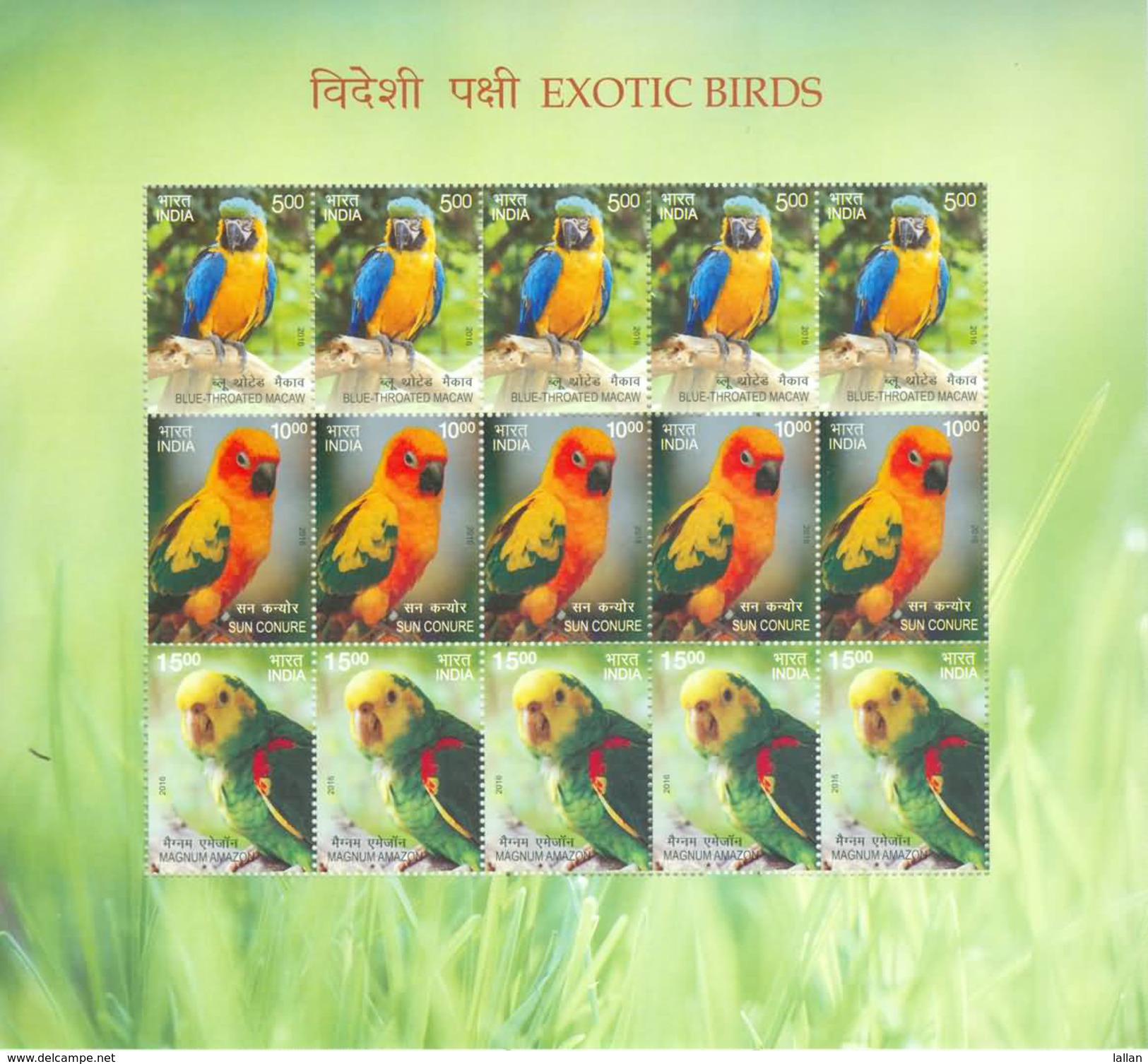 Exoctic Birds, Specially Designed Sheetlet Of 15 Stamps, 2016(Buy 10 Get 10% Discount) - Autres & Non Classés