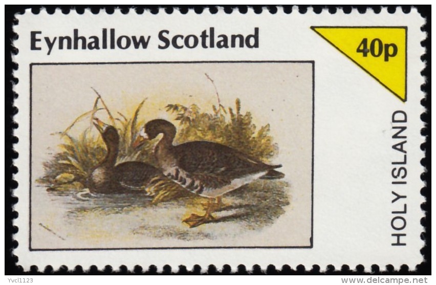 EYNHALLOW (Scotland) - YW0429 Ducks (*) / Mint NH Stamp - Ducks