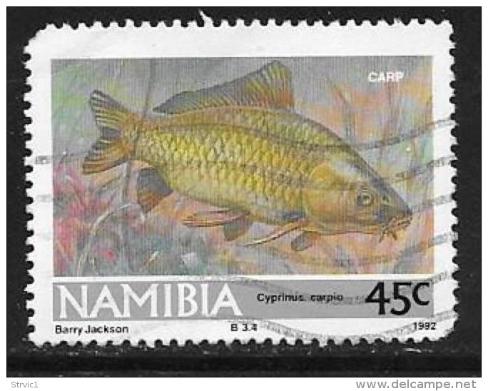 Namibia, Scott # 712 Used Fish, 1992, Round Corner - Namibia (1990- ...)