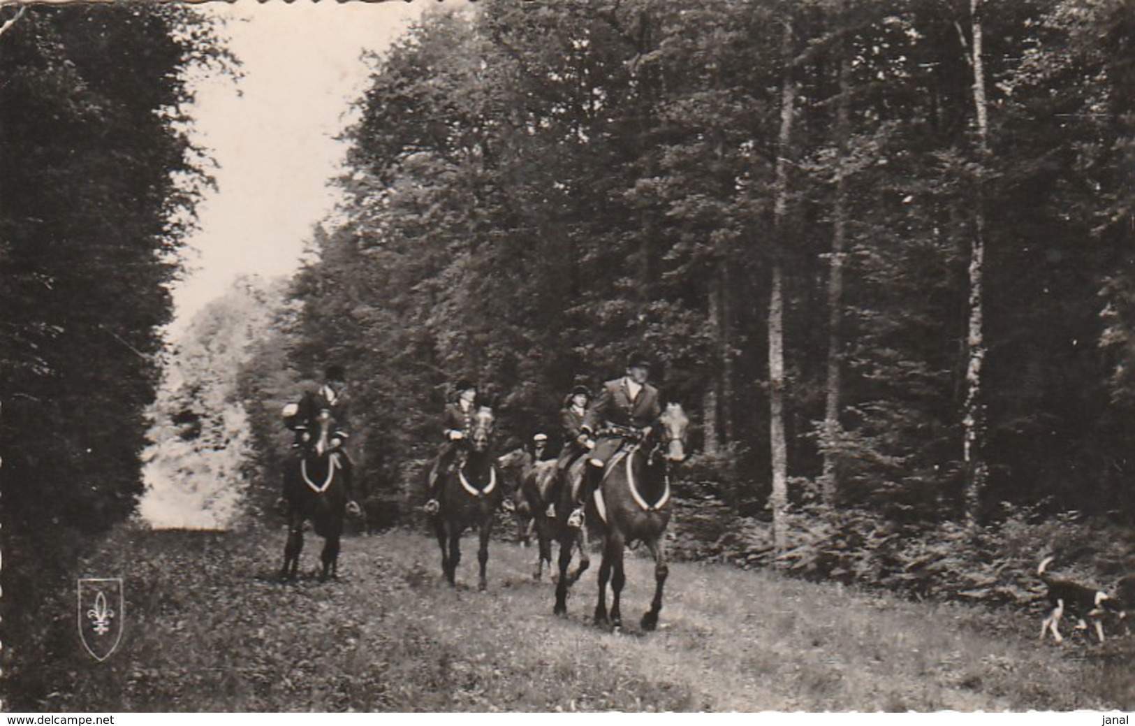 03 - ALLIER - CHASSE A COURRE EN FORET DE TRONCAIS - Autres & Non Classés