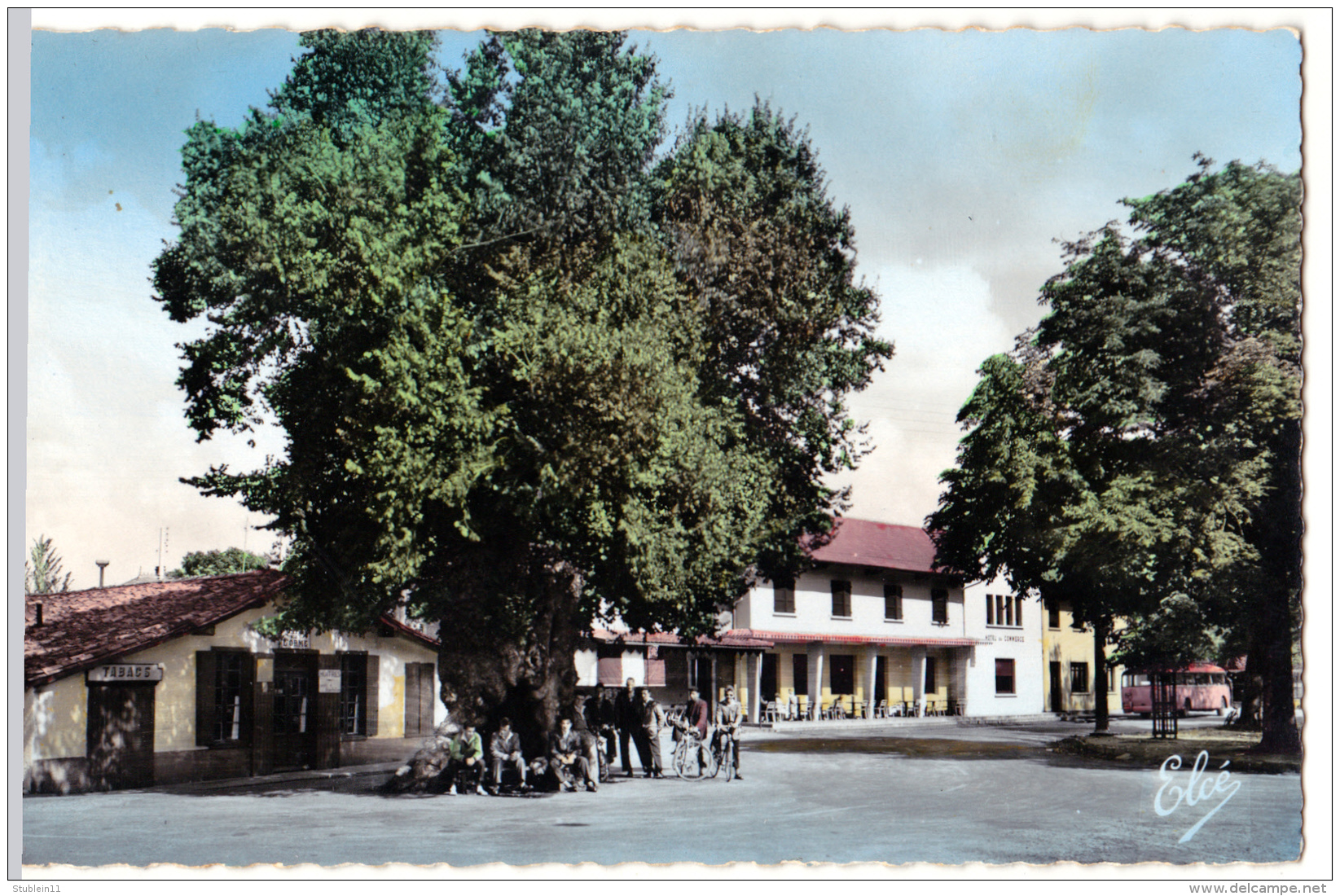 Biscarosse (Landes)  L'orme Sur La Place      (CPSM, Bords Dentelés, Format 9 X 14) - Biscarrosse