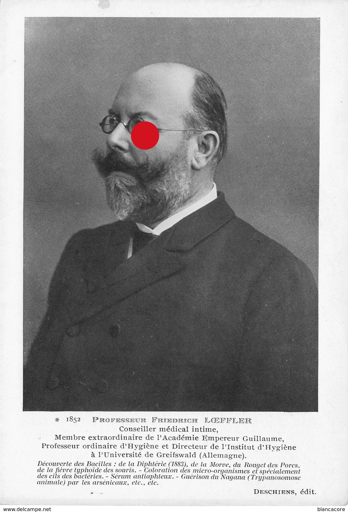 Docteur Friedrich Löffler Loeffler Frankfurt 1852 - Berlin 1915 Université De Greifswald. - Sin Clasificación