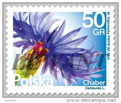 2016.01.20. Flowers And Fruit (7) - Flower Cornflower (Centaurea L.) - MNH - Neufs