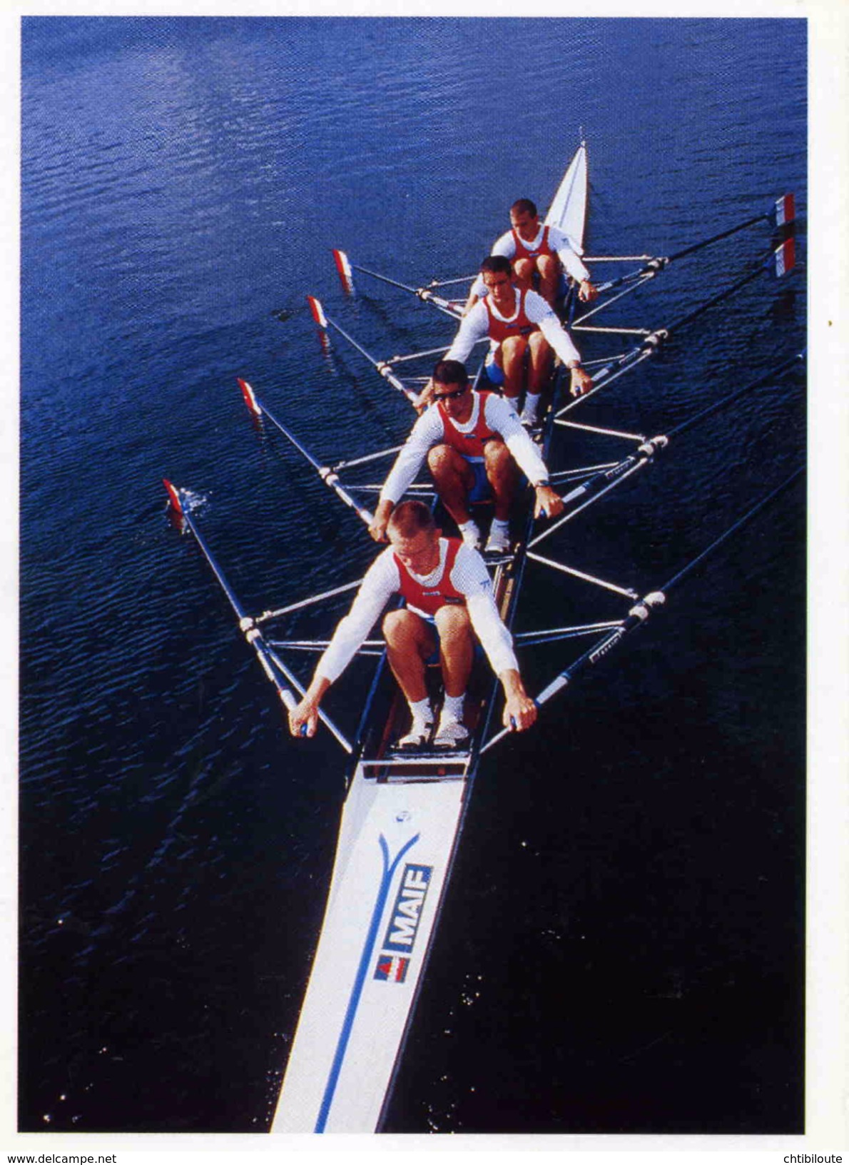 SPORTS  AVIRON    L 51   /   EQUIPE DE FRANCE    CPM / CPSM 10 X 15 - Rudersport