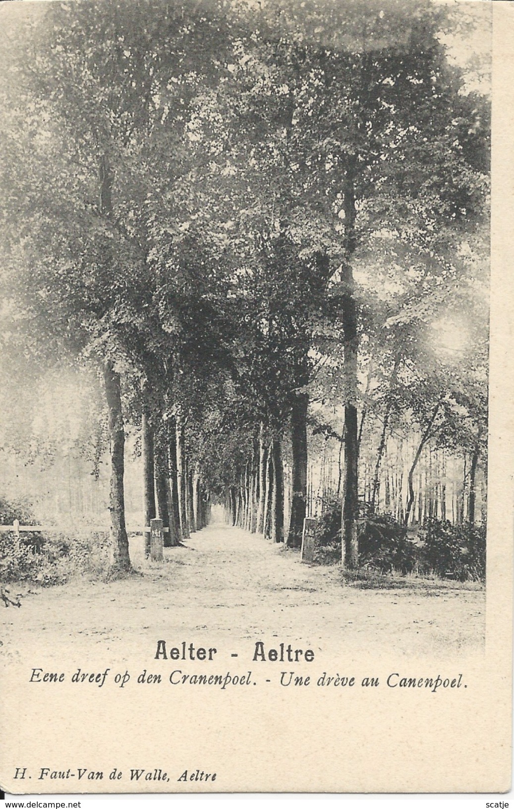 Aelter  -   Eene Dreef Op Den Cranenpoel.   1900   +  Tweede Kaart Zie Scan - Aalter