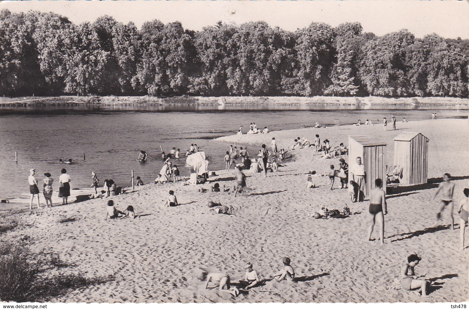 45-----CHATEAUNEUF SUR LOIRE---la Plage--voir 2 Scans - Autres & Non Classés