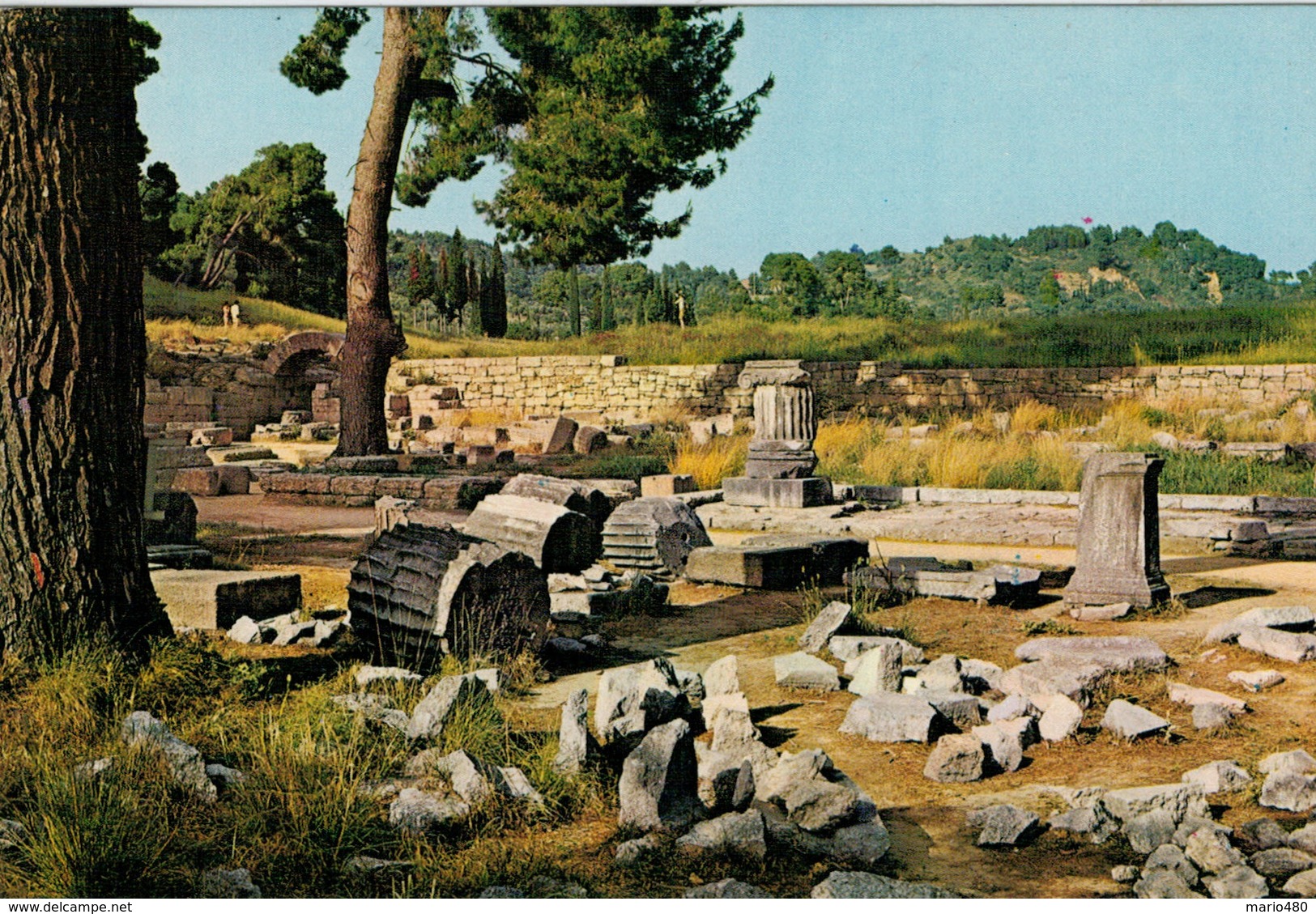 OLYMPIA   EASTERN  VIEW OF THE  TEMPLE OF  ZEUS              (NUOVA) - Grecia