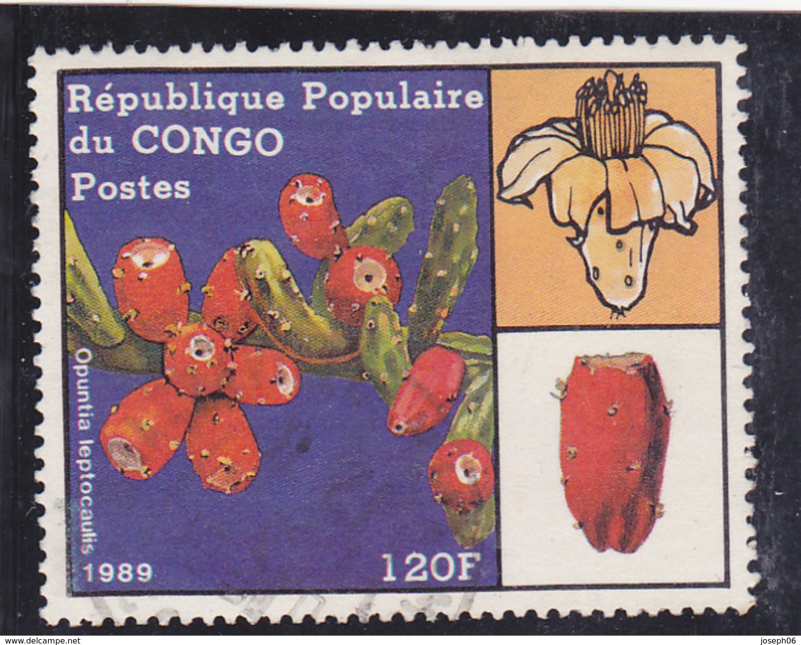 CONGO  1989  Y. T. N° 855  à  859  Incomplet  859  Oblitéré  Frais De Gestion Compris - Oblitérés