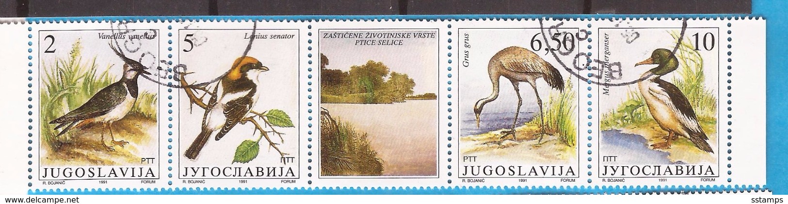 1991  246366  FAUNA WWF   JUGOSLAWIEN VOEGEL  BIRDS  GESCHUEZTE TIERE  USED - Used Stamps