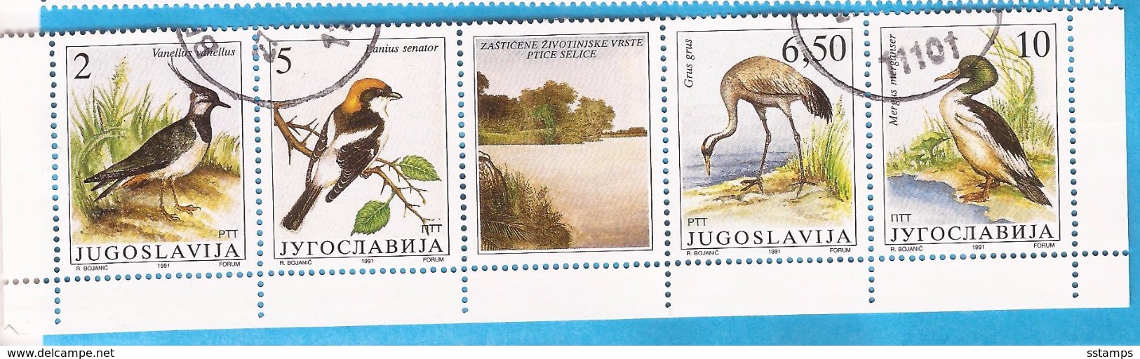1991  246366  FAUNA WWF   JUGOSLAWIEN VOEGEL  BIRDS  GESCHUEZTE TIERE  USED - Used Stamps