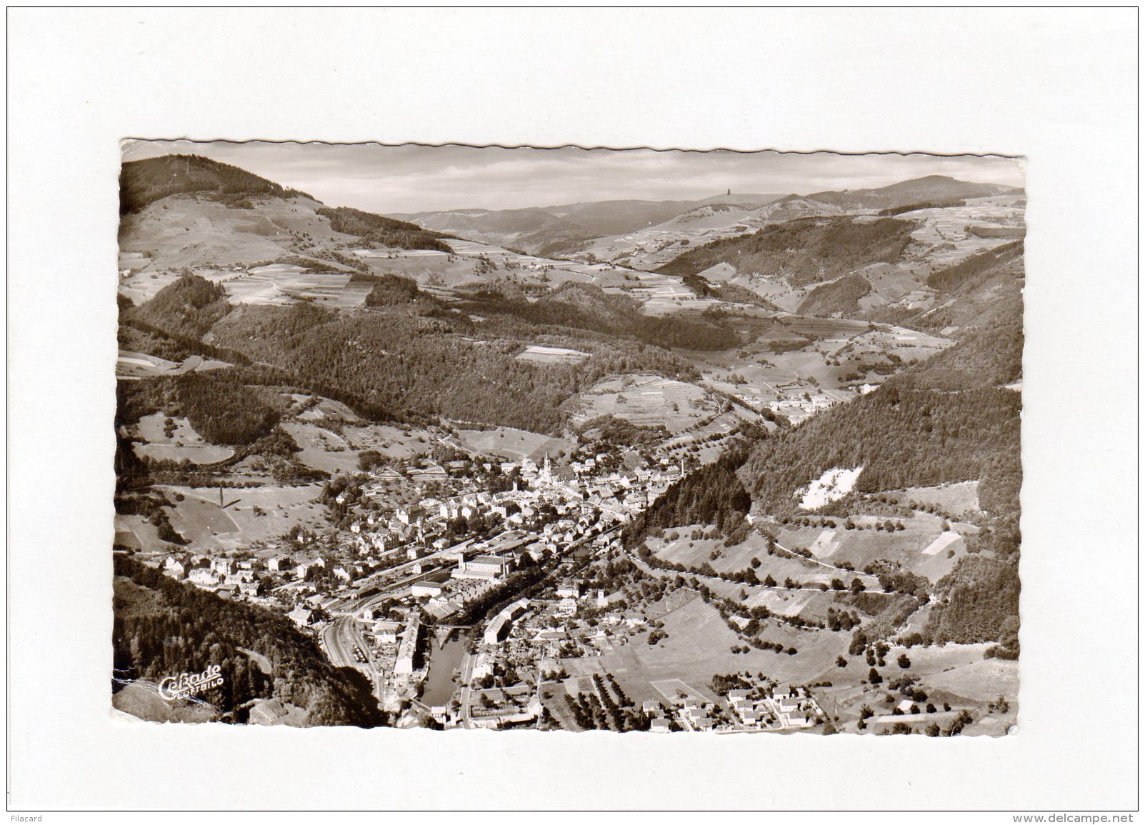 66427   Germania,  Zell Im  Wiesental Mit Dem Zeller Blauen Und Blick Zum  Feldberg Uber Dem  Wiesental, VG  1959 - Loerrach