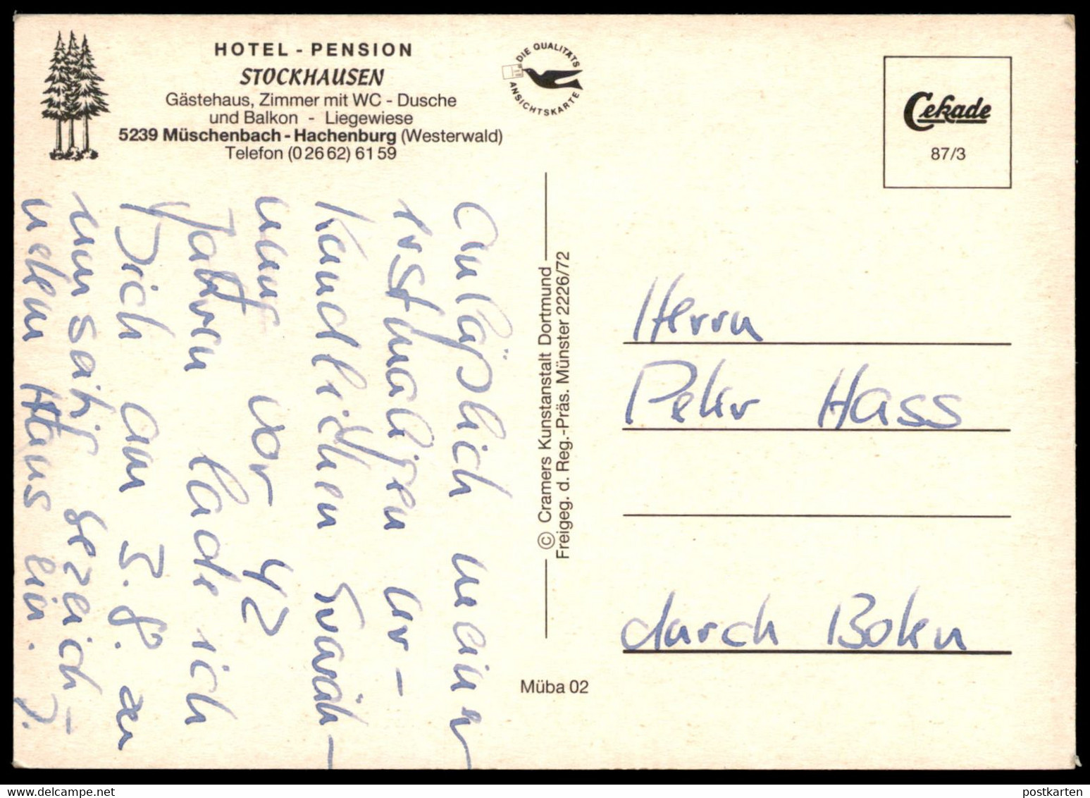 ÄLTERE POSTKARTE MÜSCHENBACH-HACHENBURG GÄSTEHAUS STOCKHAUSEN HOTEL PENSION PANORAMA Cpa AK Ansichtskarte Postcard - Hachenburg