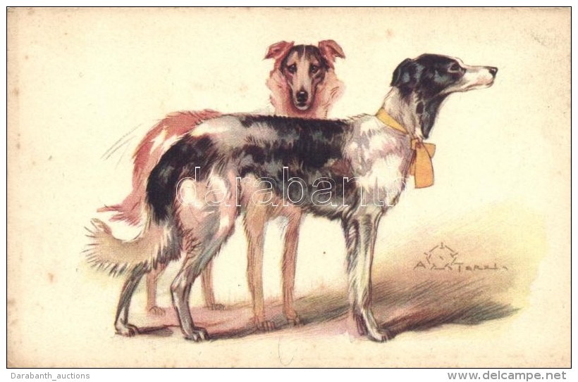 ** T2/T3 Italian Art Postcard, Sighthound Dog Breed, Anna &amp; Gasparini 450-2. S: A. Terzi - Non Classés