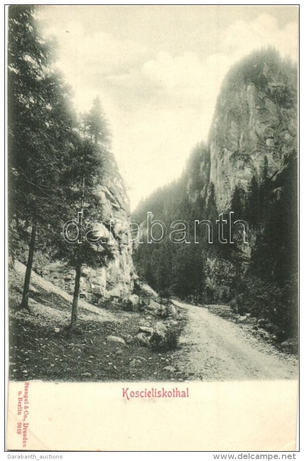 * T4 Dolina Koscieliska, Koscieliska Valley, Gorge (v&aacute;gott / Cut) - Non Classés