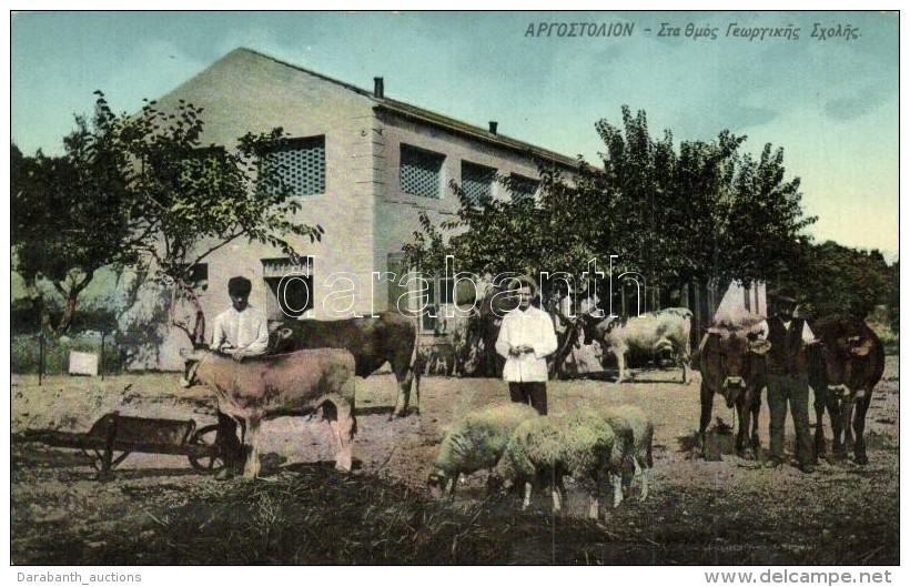 ** T2/T3 Argostoli, Farm School, Sheep, Cows (EK) - Non Classés