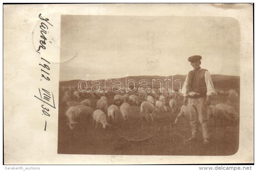 T2/T3 1912 Dar&oacute;c, Sarissk&eacute; Dravce; Juhny&aacute;j. Szinyei Merse Zsigmondnak C&iacute;mezve / Flock... - Sin Clasificación