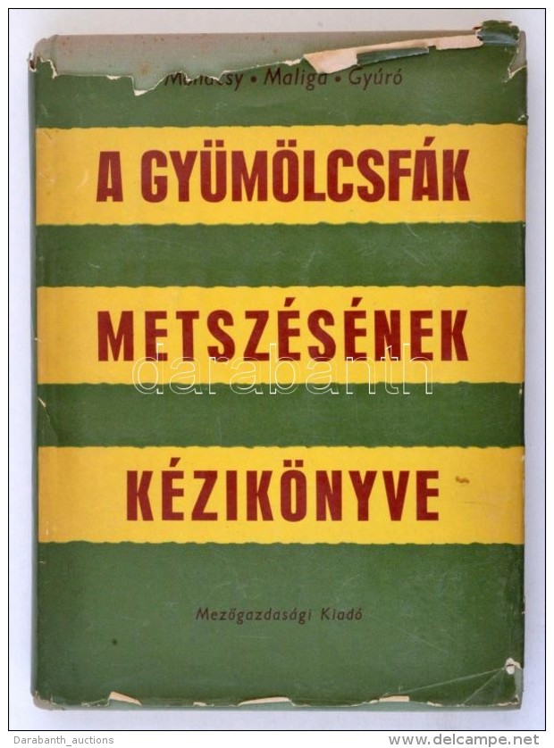 Dr. Moh&aacute;csy M&aacute;ty&aacute;s, Dr. Maliga P&aacute;l, Dr. Gy&uacute;r&oacute; Ferenc: A... - Non Classés