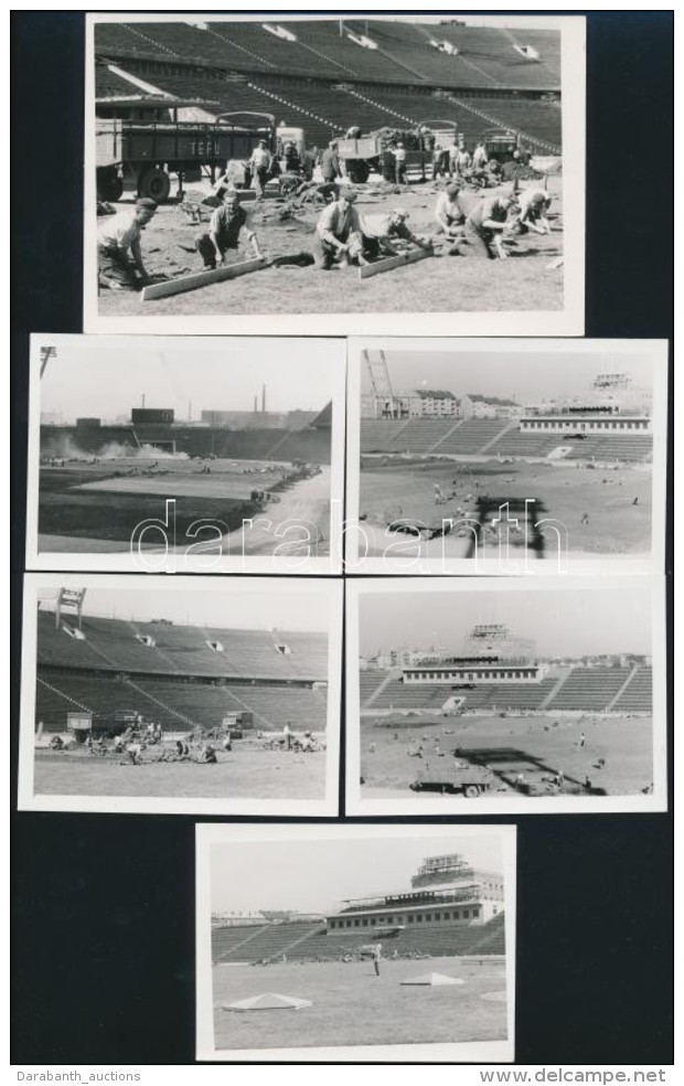 Cca 1953 Budapest, A N&eacute;pstadion P&aacute;ly&aacute;j&aacute;nak F&uuml;ves&iacute;t&eacute;se, 6 Db... - Autres & Non Classés