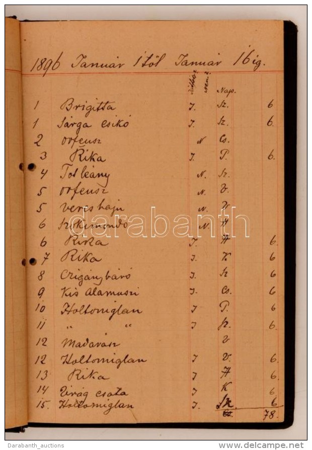 1895-1897 Az 1875-1908 K&ouml;z&ouml;tt Fenn&aacute;llt N&eacute;psz&iacute;nh&aacute;z 1895... - Non Classés