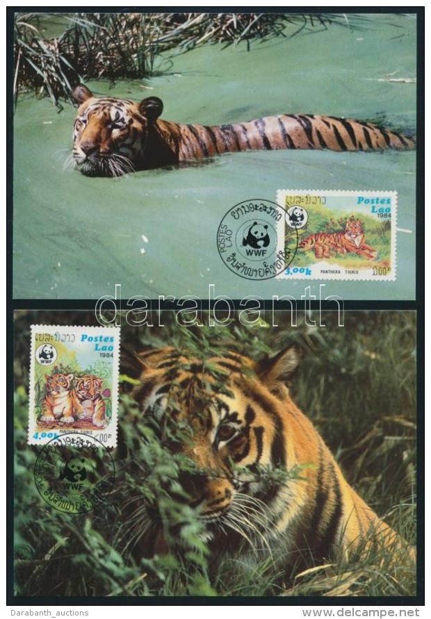 1984 WWF: Tigris Sor 4 Db CM-en Mi 706-709 - Autres & Non Classés