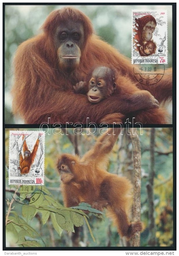 1989 WWF: Orangut&aacute;n Sor Mi 1291-1294 4 Db CM-en - Autres & Non Classés