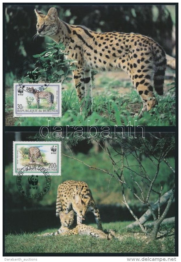 1992 WWF: Szerv&aacute;l Sor 4 Db CM-en Mi 1758-1761 - Autres & Non Classés