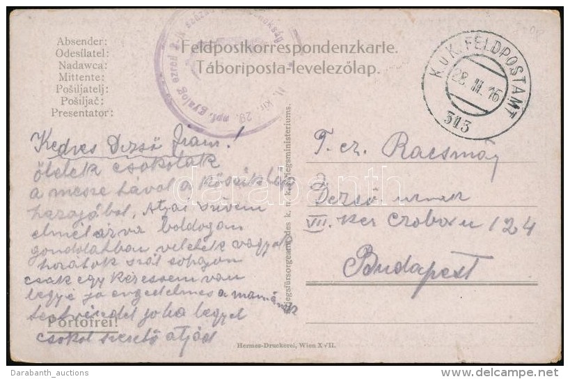 1916 T&aacute;bori Posta K&eacute;peslap / Field Postcard 'M.kir. 29. Npf. Gyalog Ezred 3-ik Sz&aacute;zad... - Autres & Non Classés